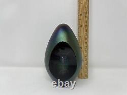 2000 Robert Eickholt Fountain Art Glass Egg Paperweight 5.25 Iridescent Colors