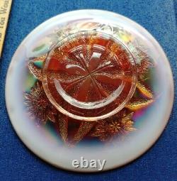 Vintage Dugan 4 Flowers Carnival Glass Plates Peach Opalescent 4 total